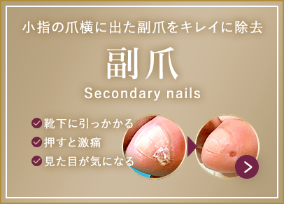 副爪