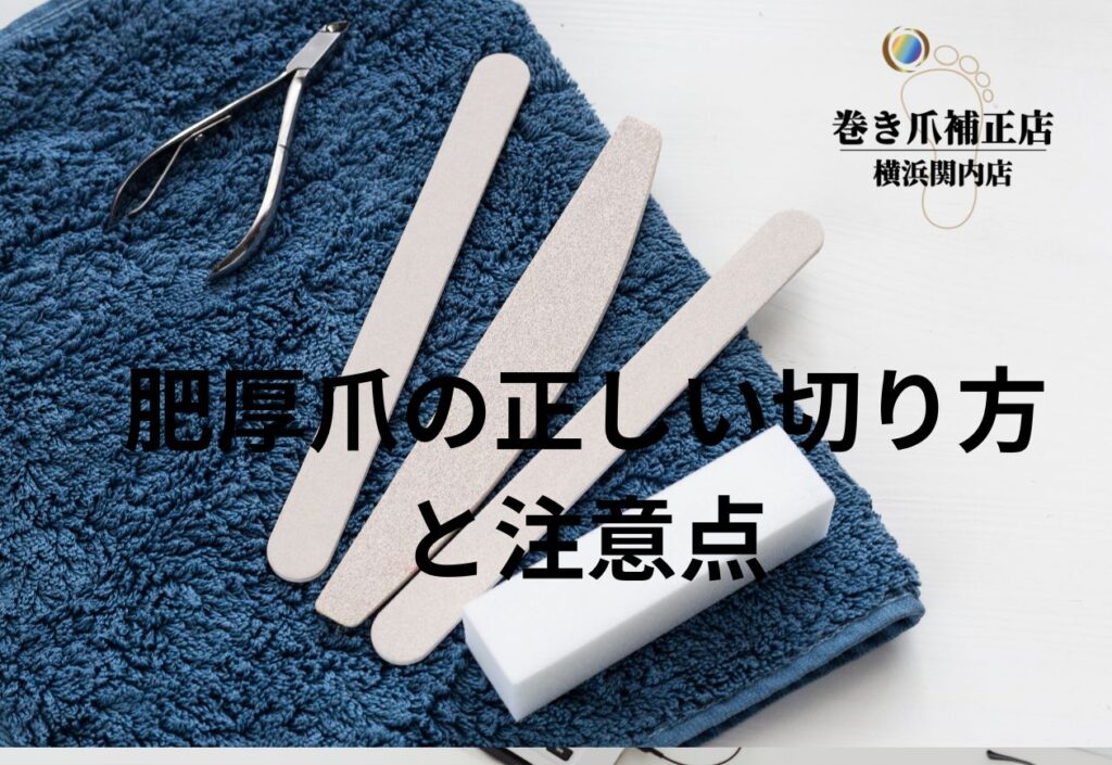 画像に alt 属性が指定されていません。ファイル名: 19c9109702689243c619c59c9136d2fa-1024x705.jpg